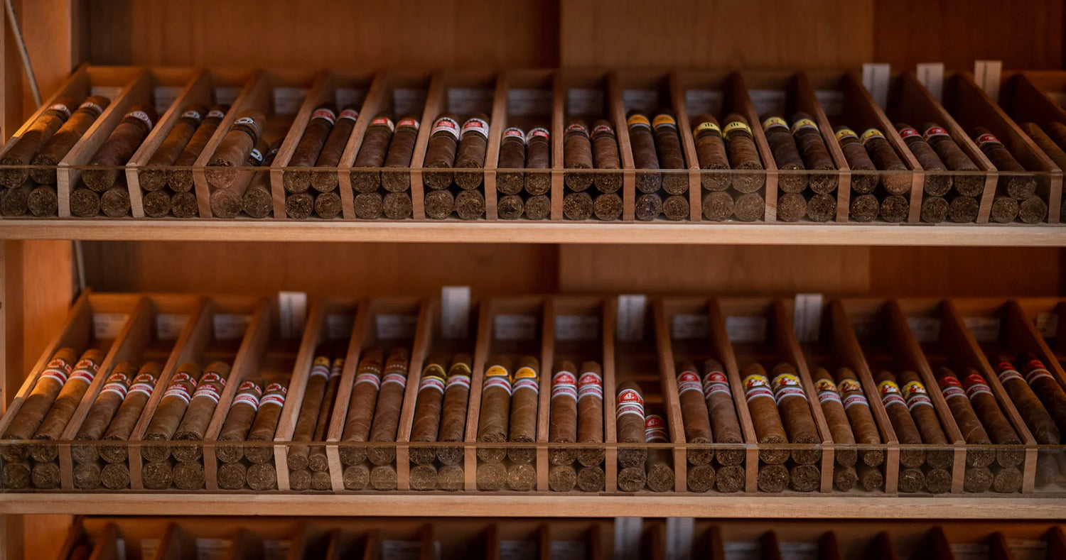 Catalogue des Cigares