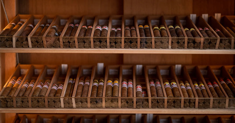 Catalogue des Cigares